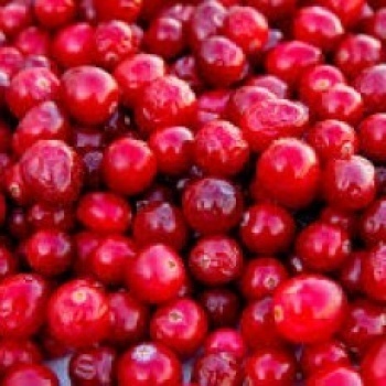 cranberry