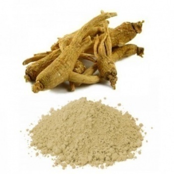 ginseng